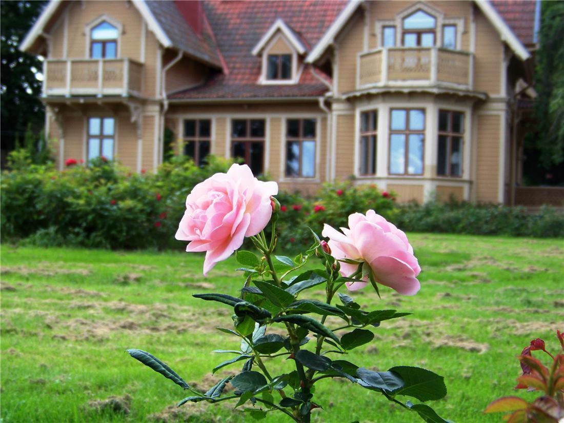 Hotel Bellevue Hjo Zewnętrze zdjęcie